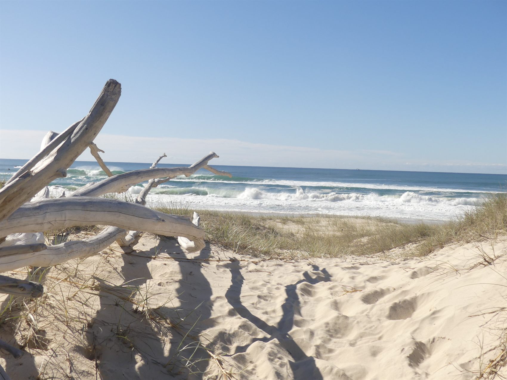 Island Picnic — Gold Coast Helitours