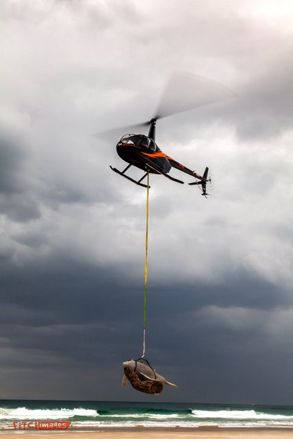 Sky Crane & Lifting Work — Gold Coast Helitours